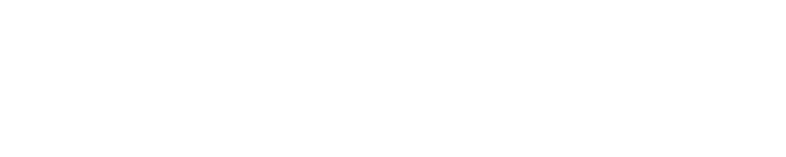 Logo Oficial da Empresa na cor Branca.